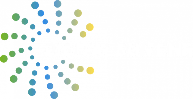 DIGITALSUN ENR