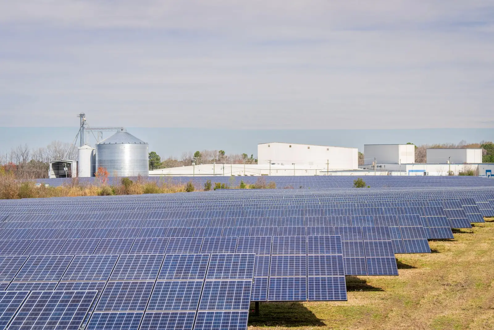 Panneaux photovoltaïques au-dessus d’une parcelle agricole